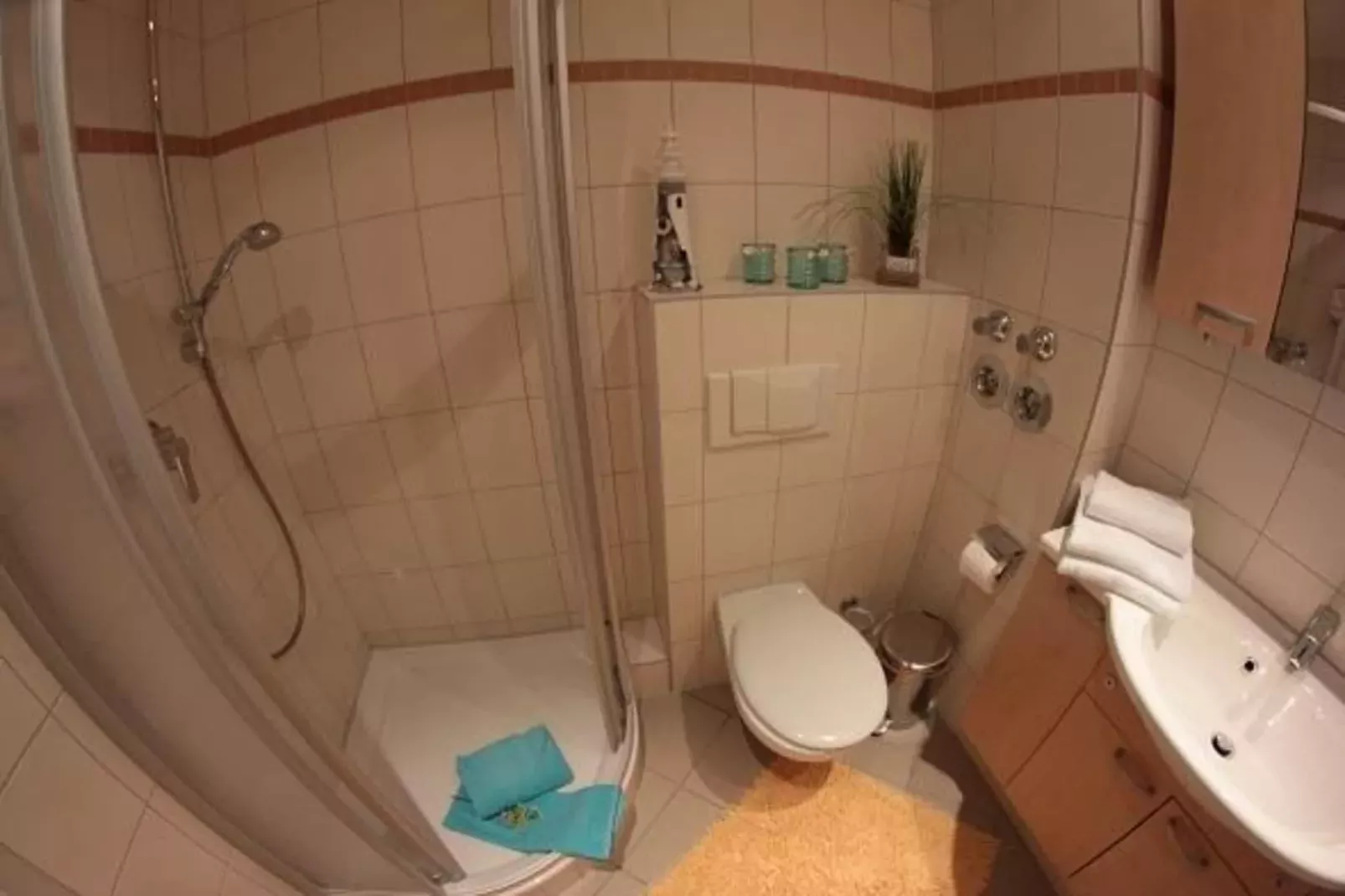 FH Wildgans Comfort Nr 59-Bathroom