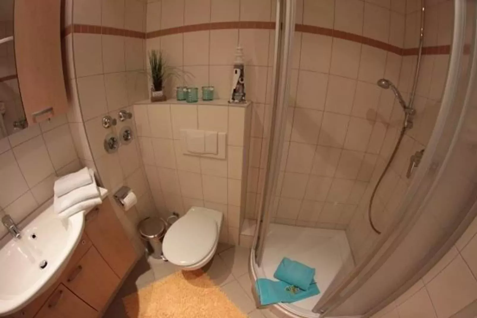 FH Wildgans Comfort Nr 59-Bathroom