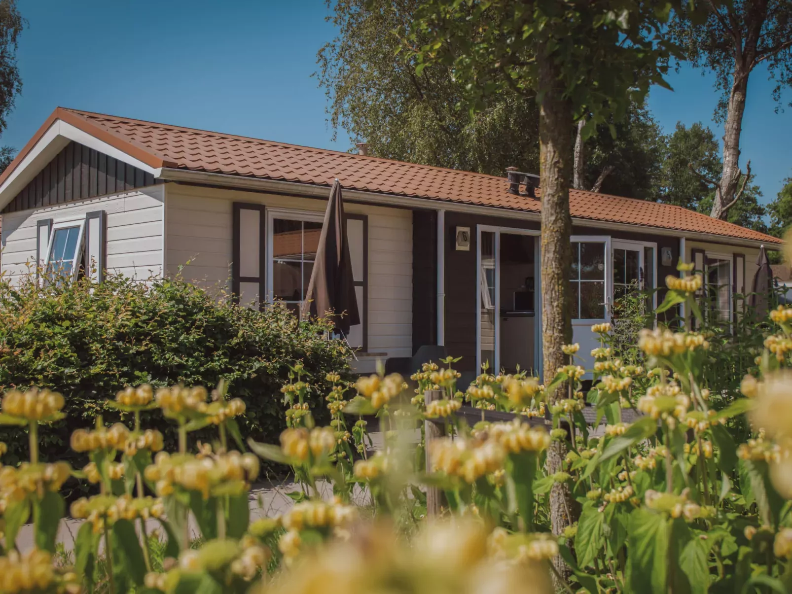 Recreatiepark De Boshoek-Outside