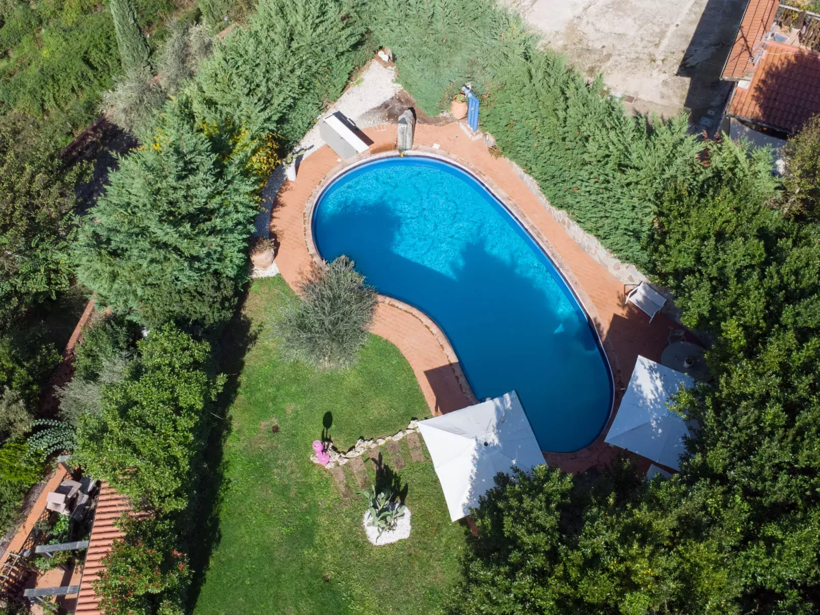 Villa Il Guscio-Draußen