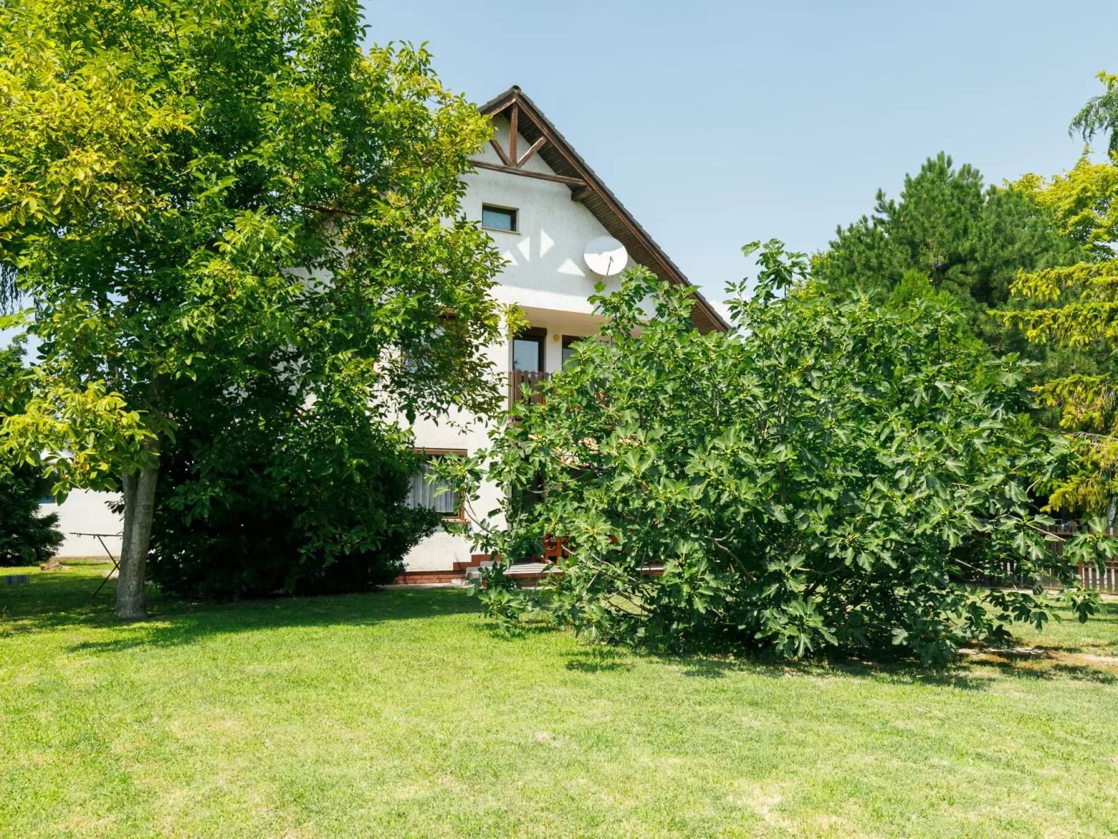 Picea-Draußen