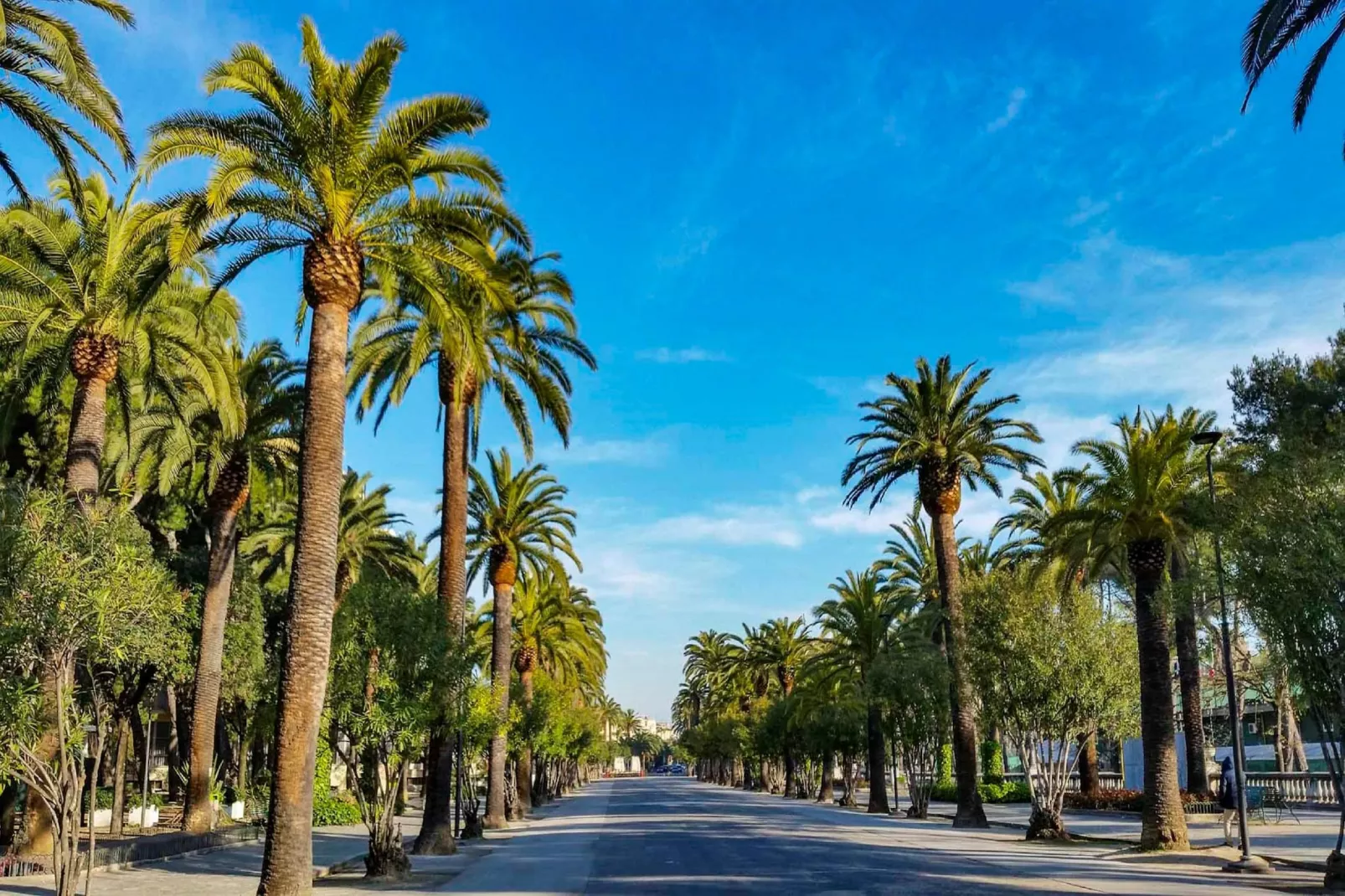 Bilo 4 pax-Areas summer 5km
