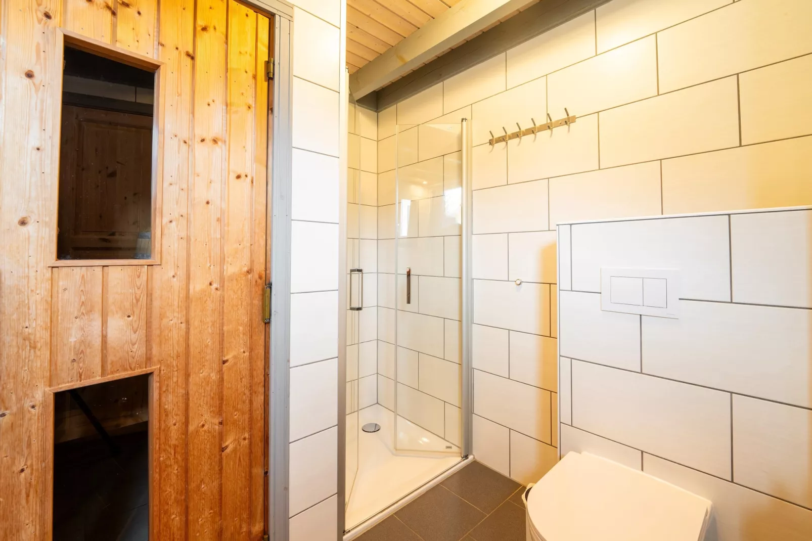 FH Wildgans Comfort Nr 155-Atmosphere