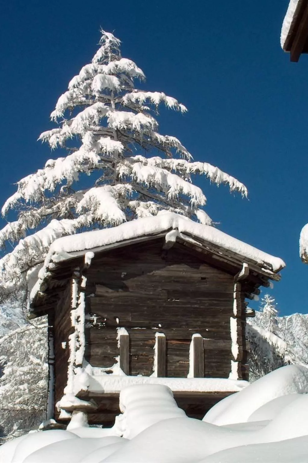 Chalet Alpenrösli-Outside