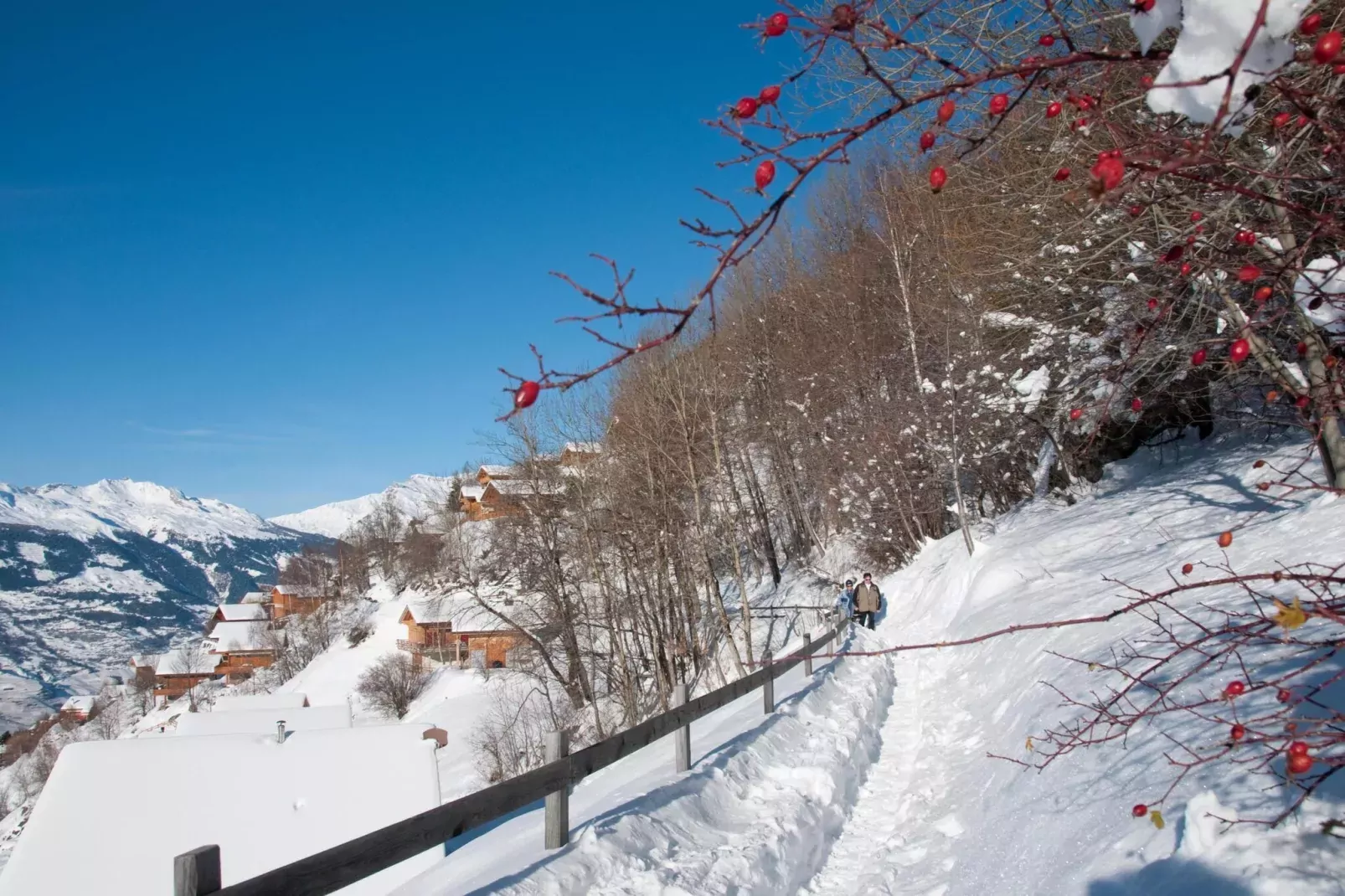 FH Wildgans Comfort Nr 169-Area winter 20km
