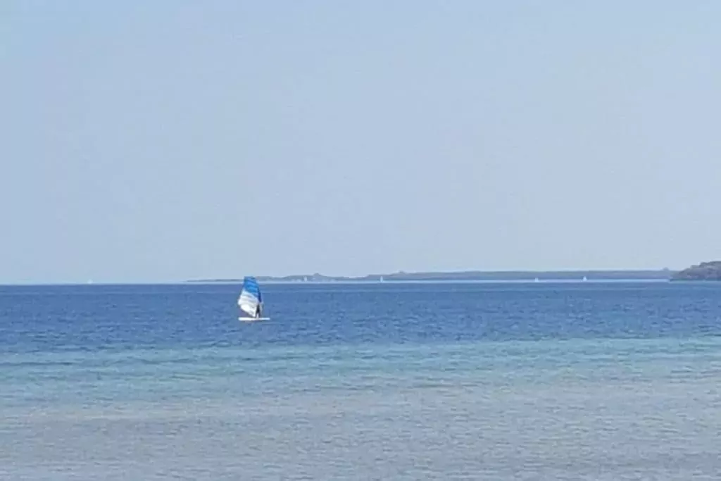 86647-Non étiqueté