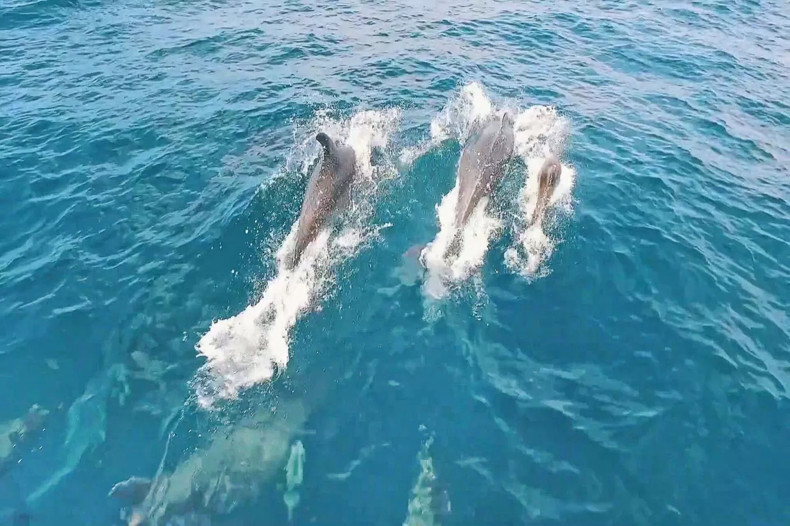 Villa Cayo Coco-Aussicht Sommer