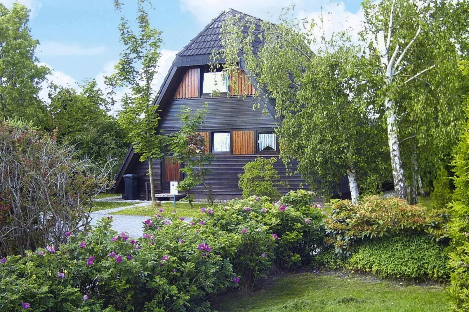 Ferienhaus Burhave-Exterior summer