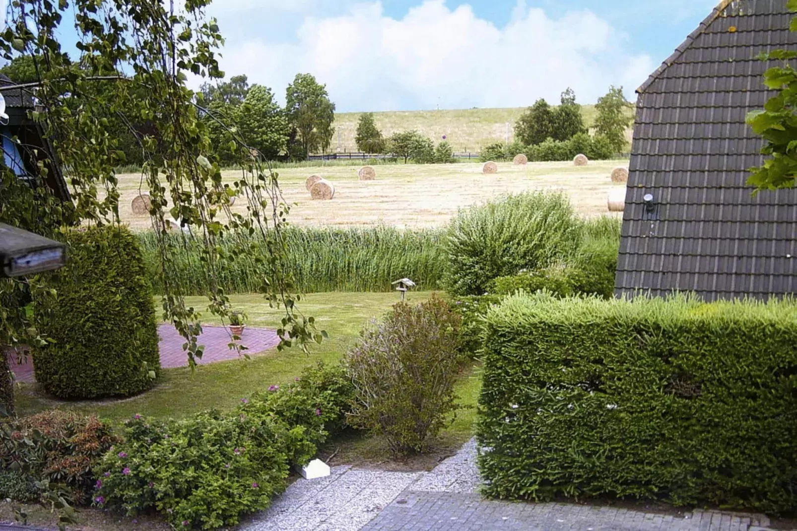 Ferienhaus Burhave-Gardens summer