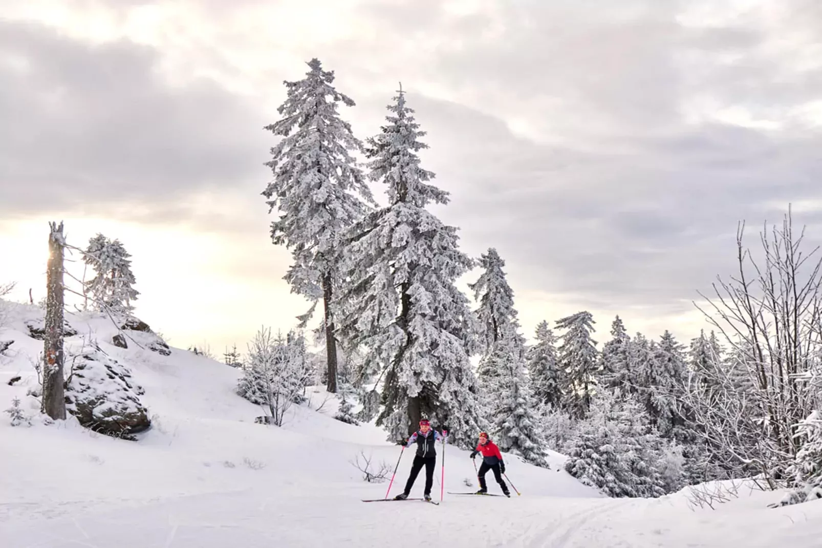Landhaus LH Rißbachtal-Gebiet Winter 20 km