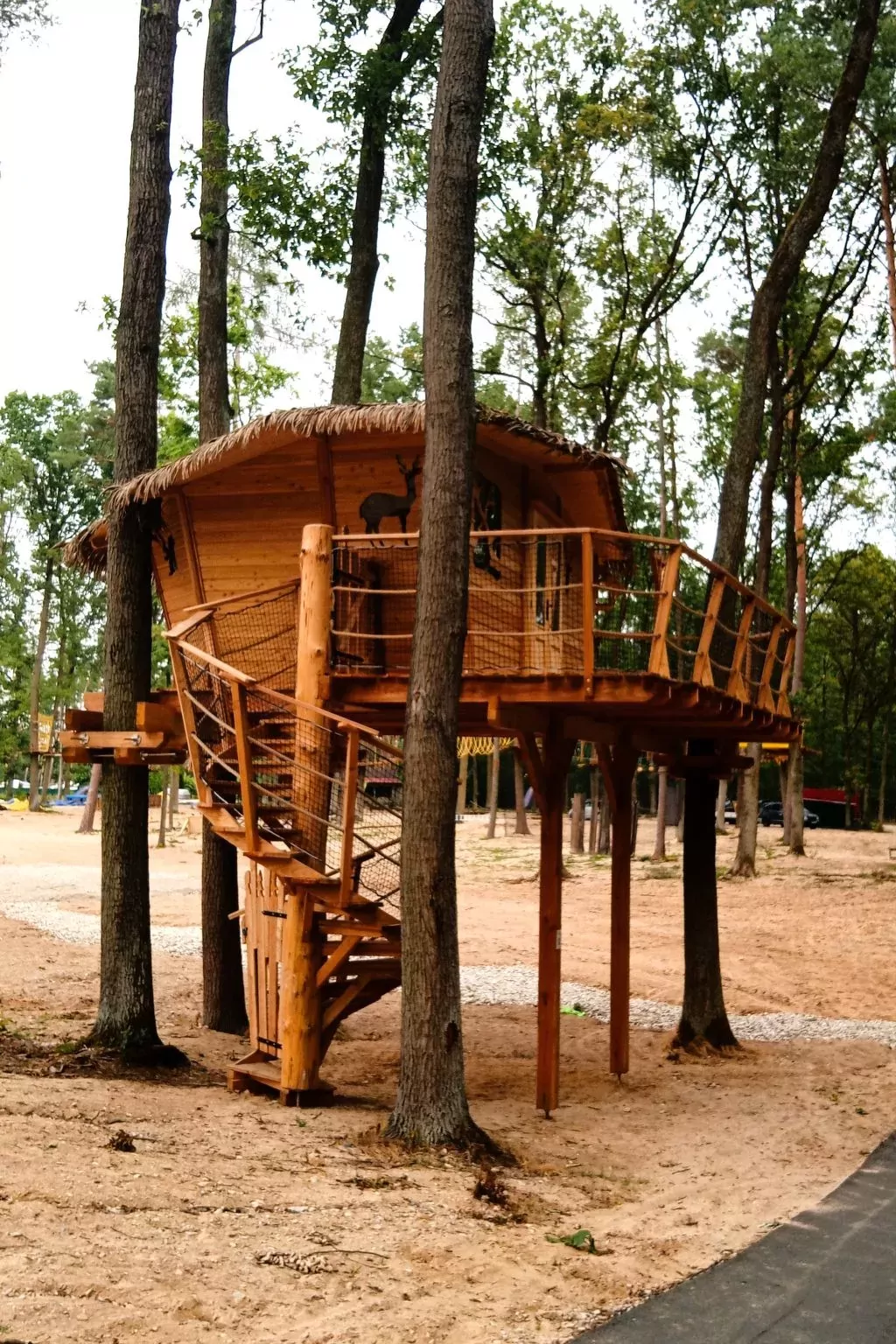 Treehouse 2-Outside