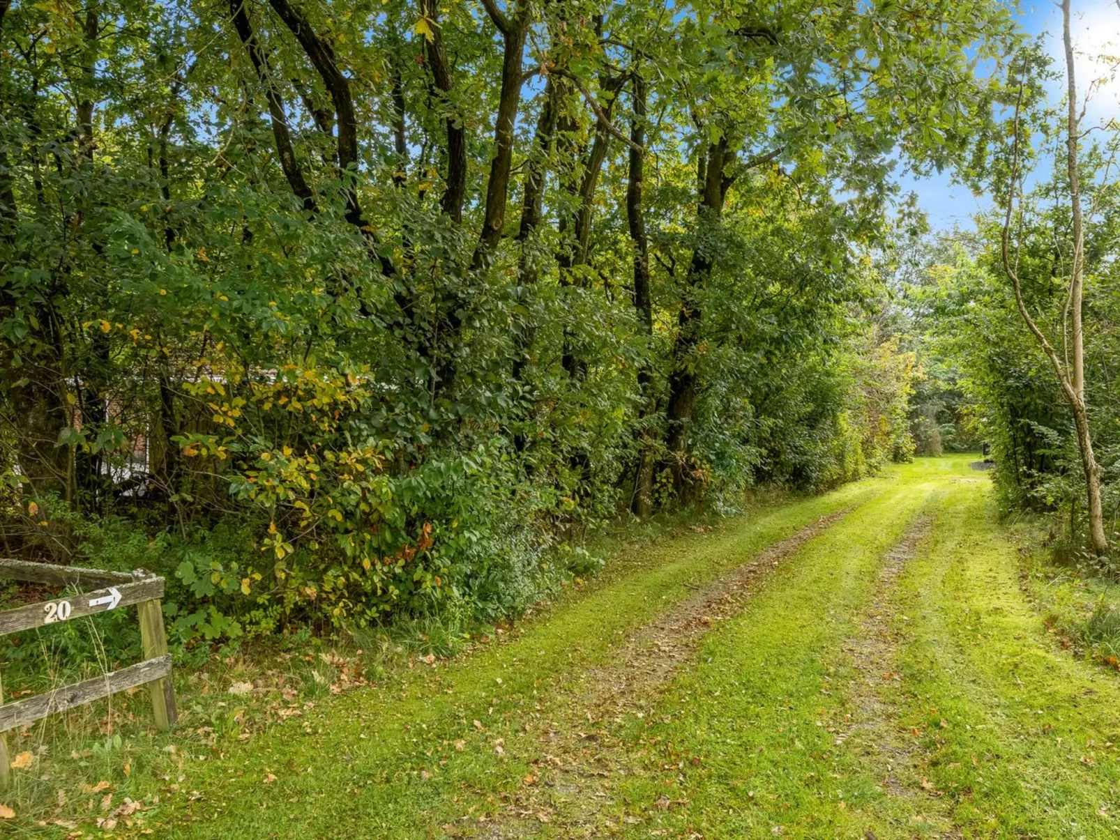 "Dimo" - 30km from the sea-Draußen