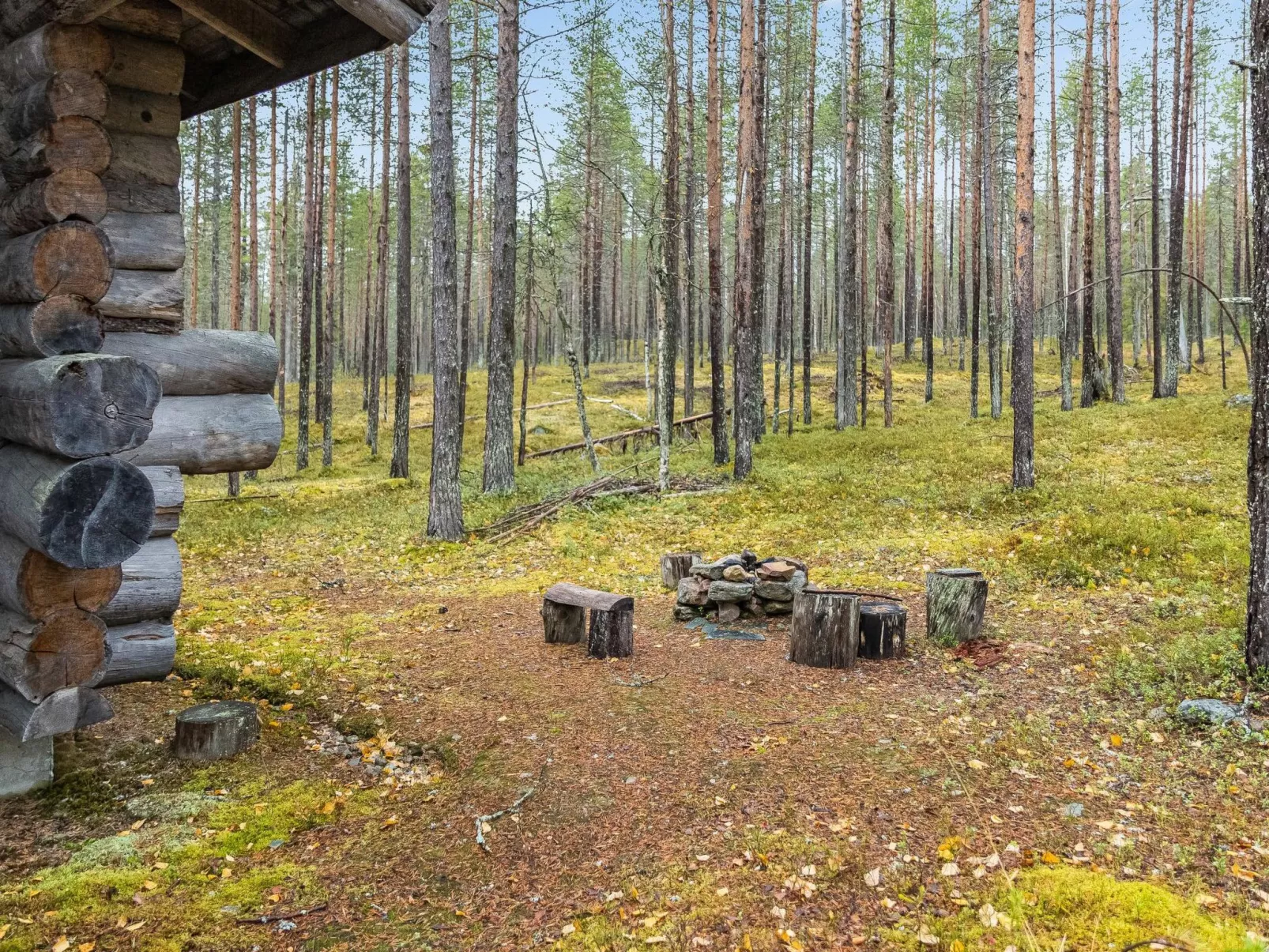 Ylläsnäkyy 7 / karkelo-Outside