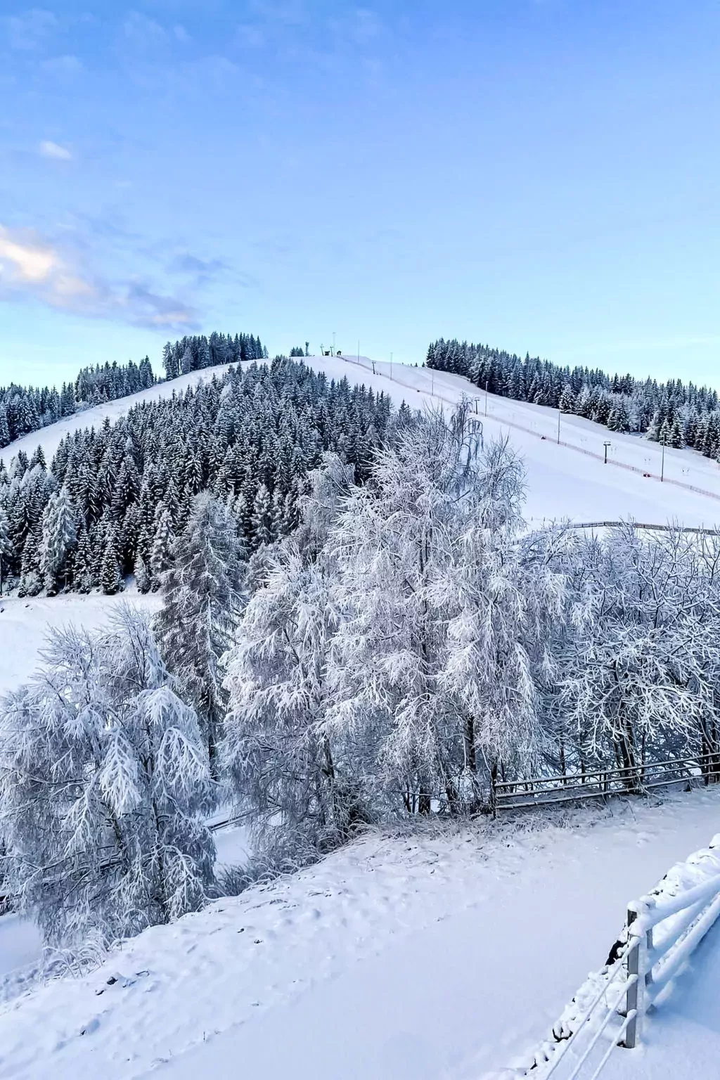 Simonhöhe Kärntentraum-Outside