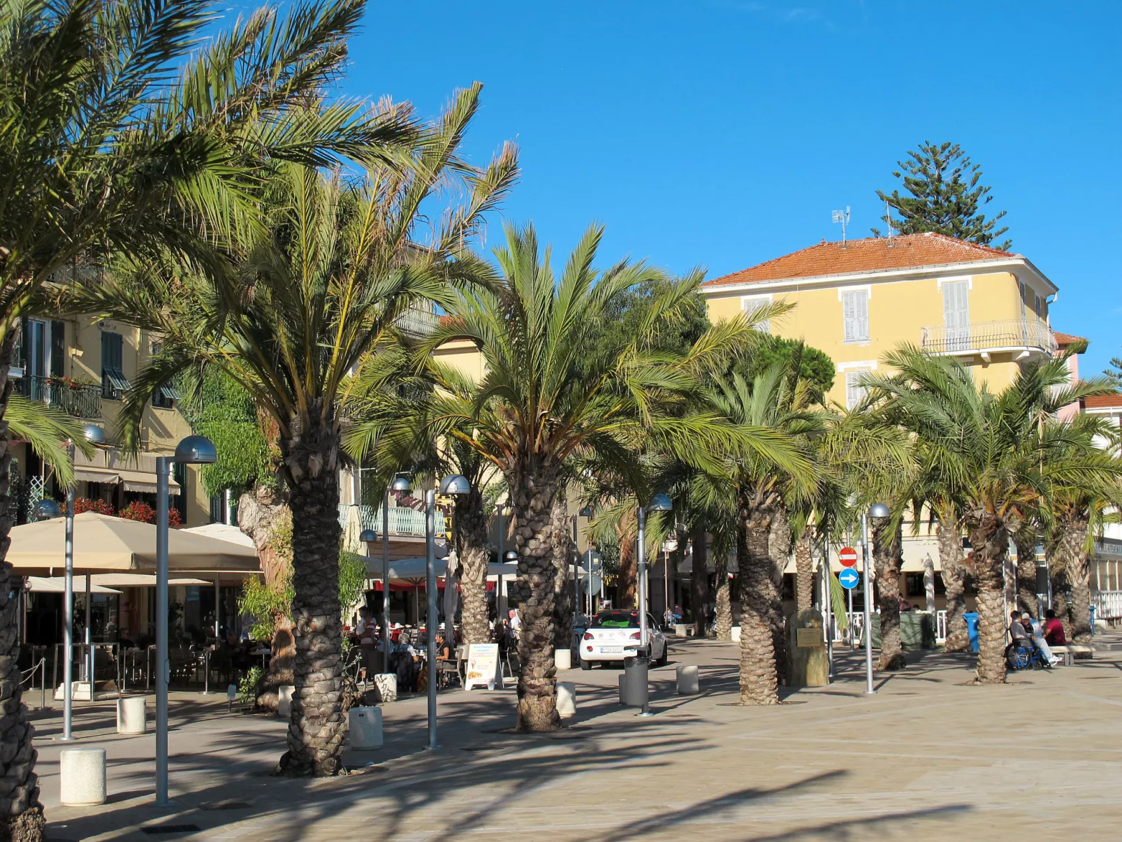 Le Mimose-Area