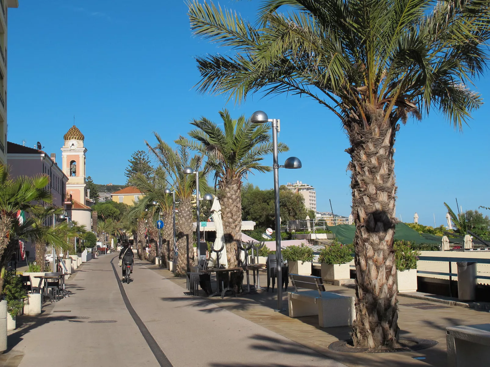 Le Mimose-Area
