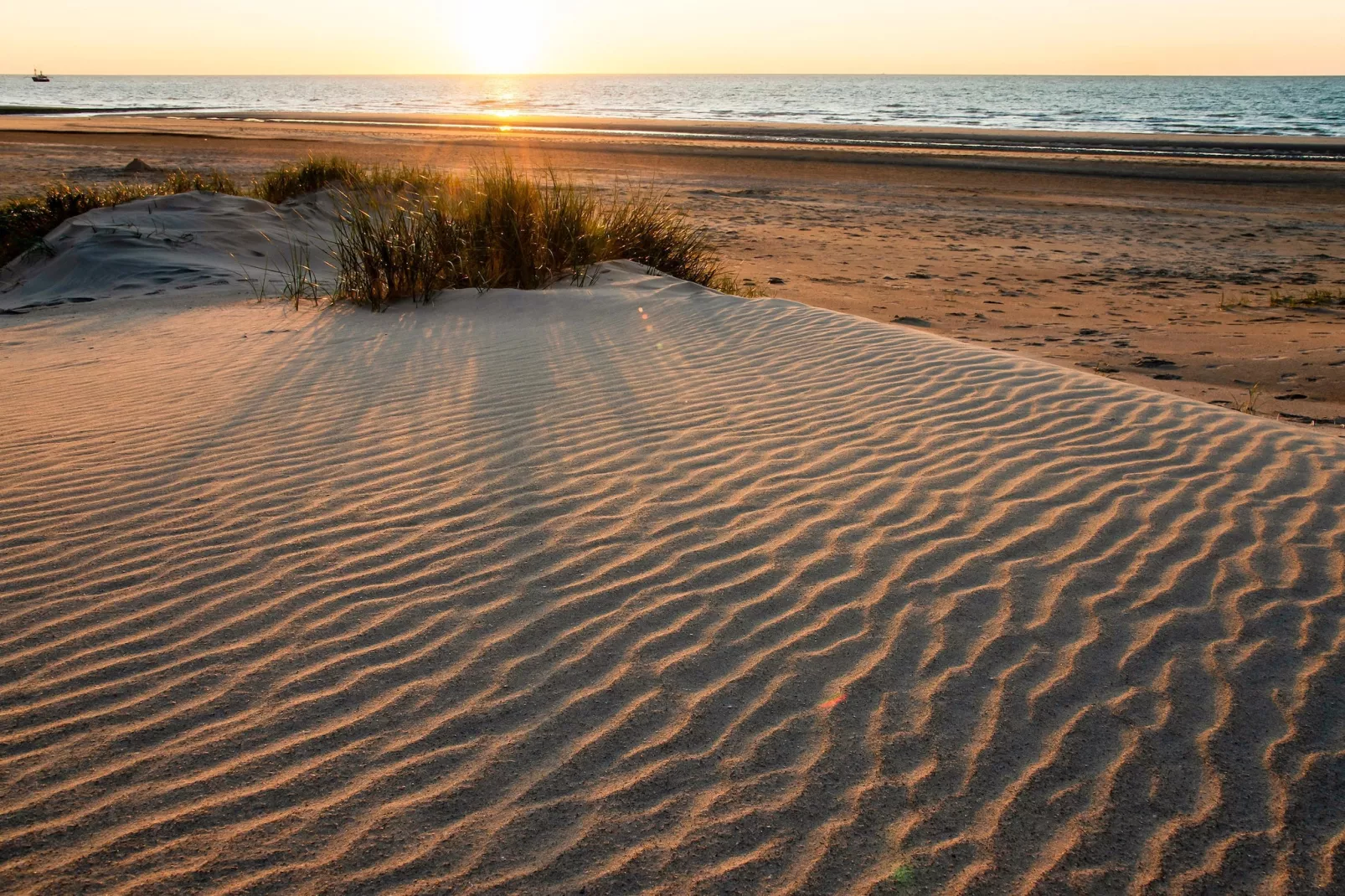 Zee & Polder 91-Areas summer 5km
