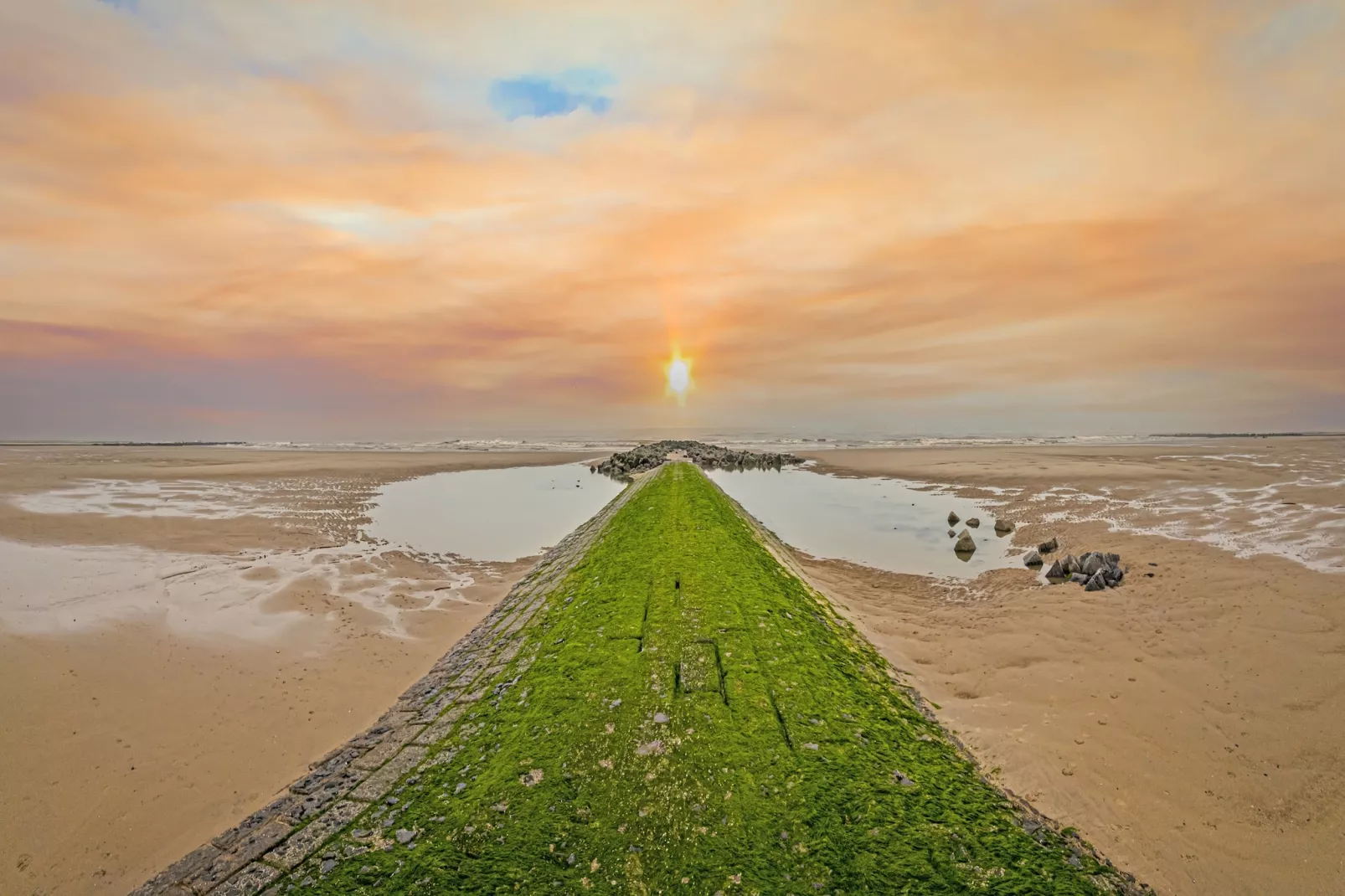 Zee & Polder 91-Areas summer 5km