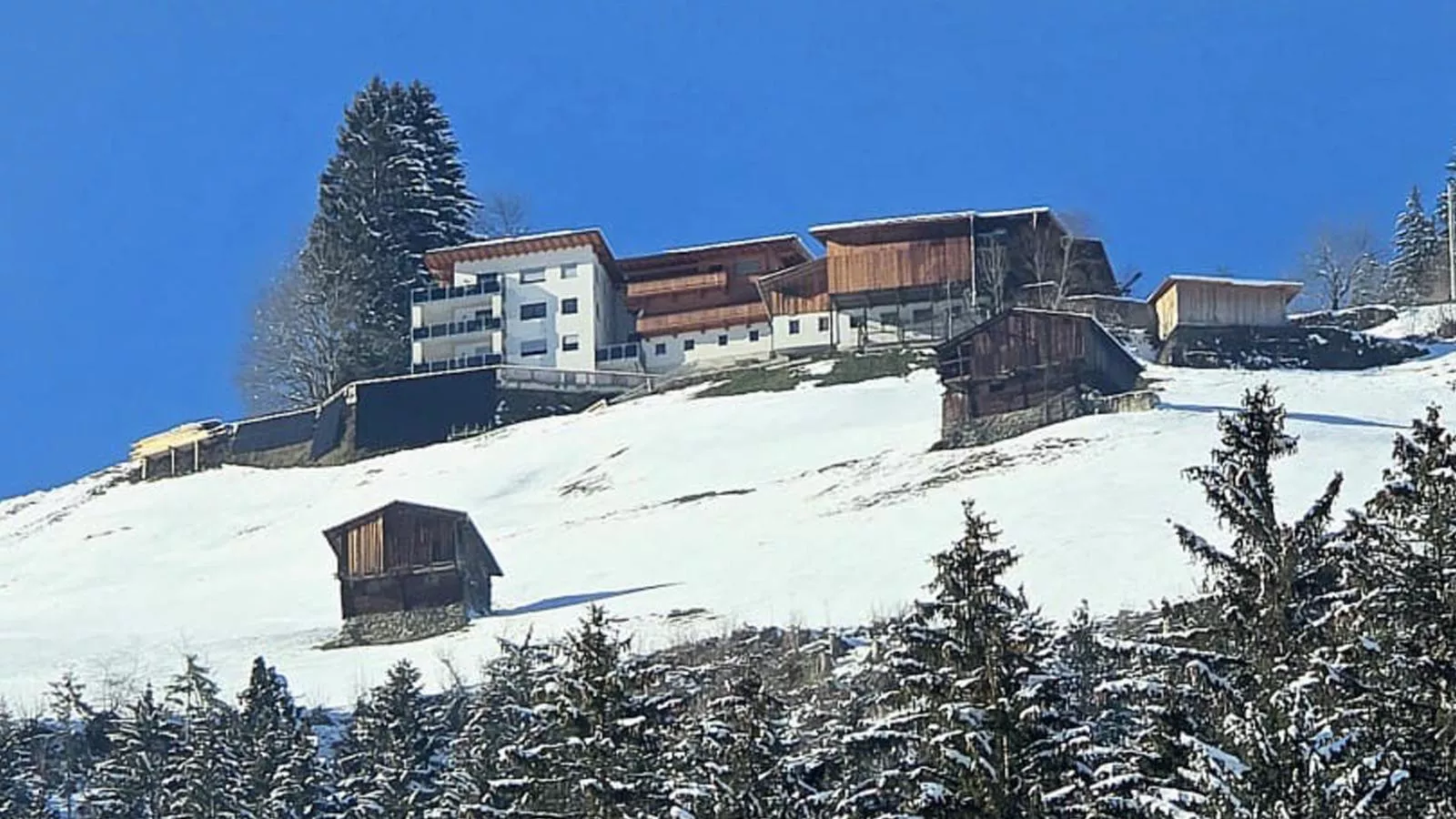 Stoanerhof-Exterior winter