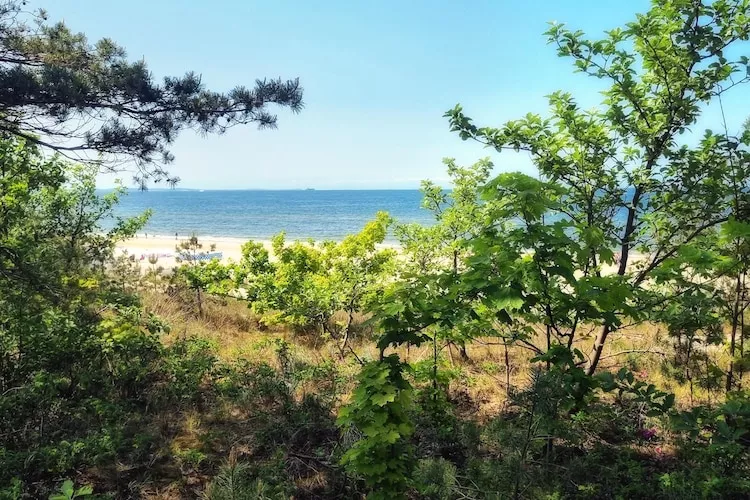 Apartament na 1 piętrze dla 3 osób-Areas summer 1km