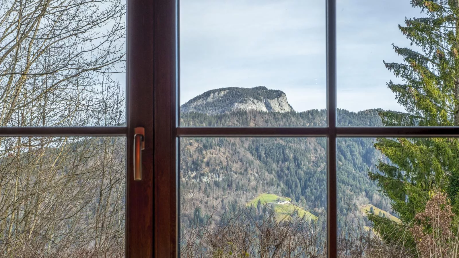 Yosi im Brixental-View summer