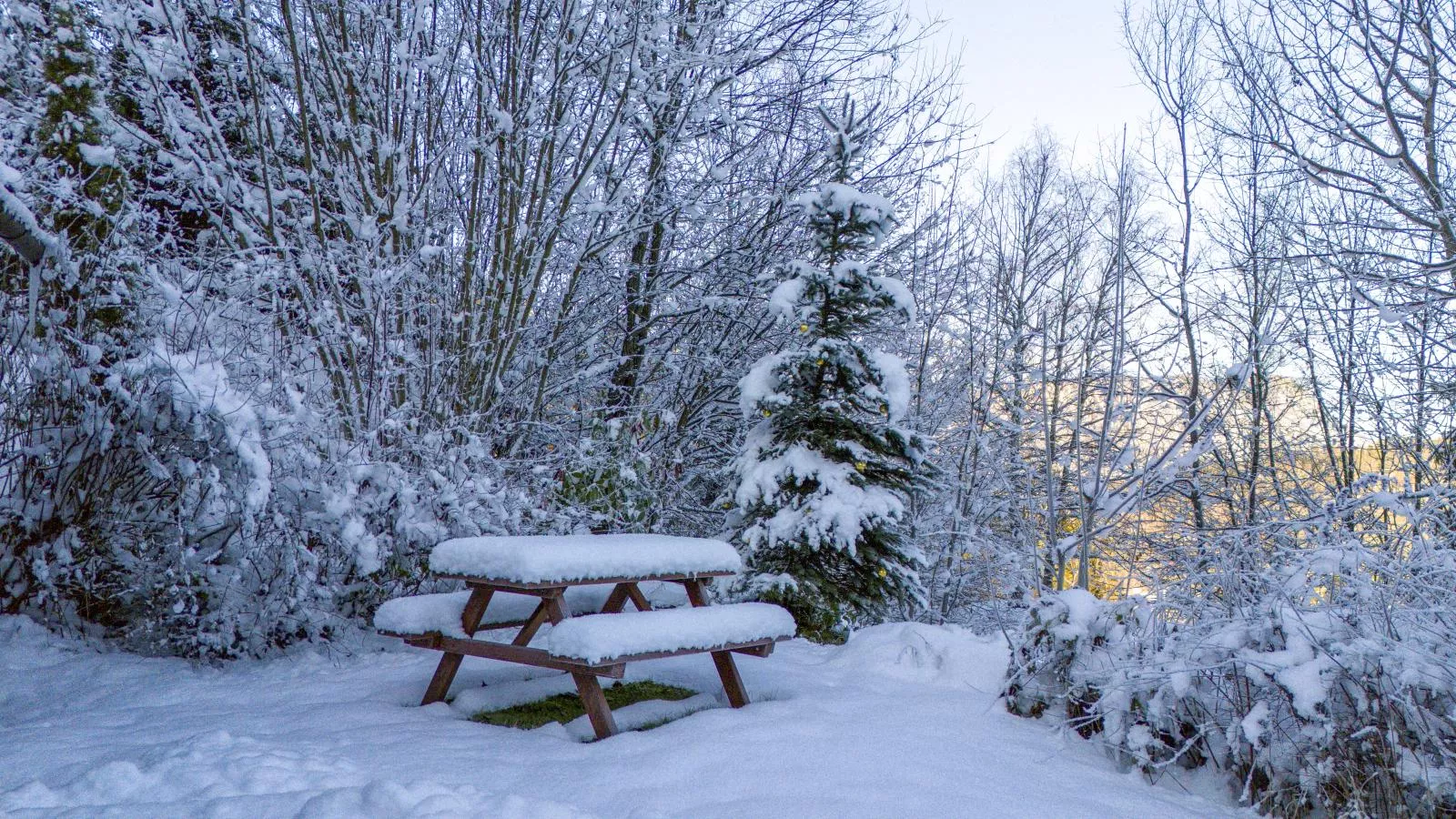 Yosi im Brixental-Garden winter