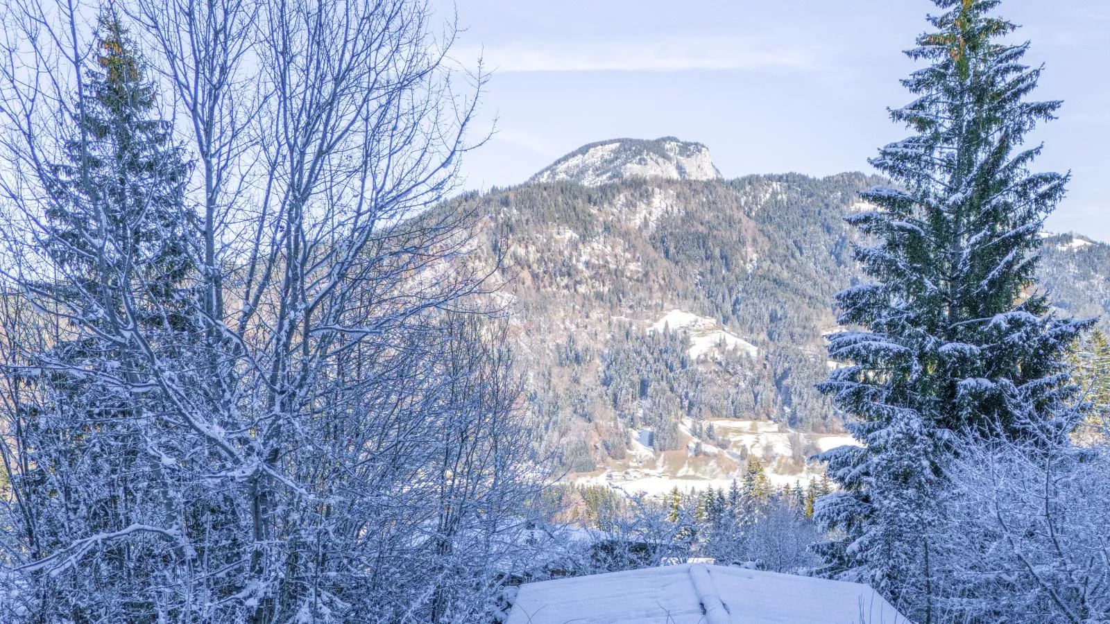 Yosi im Brixental-Area winter 1km