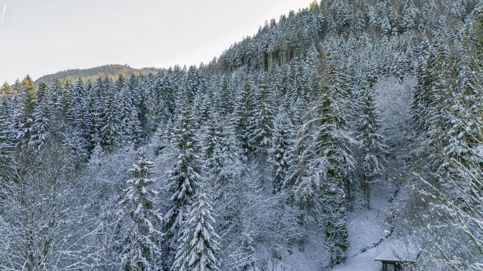 Yosi im Brixental-Area winter 1km