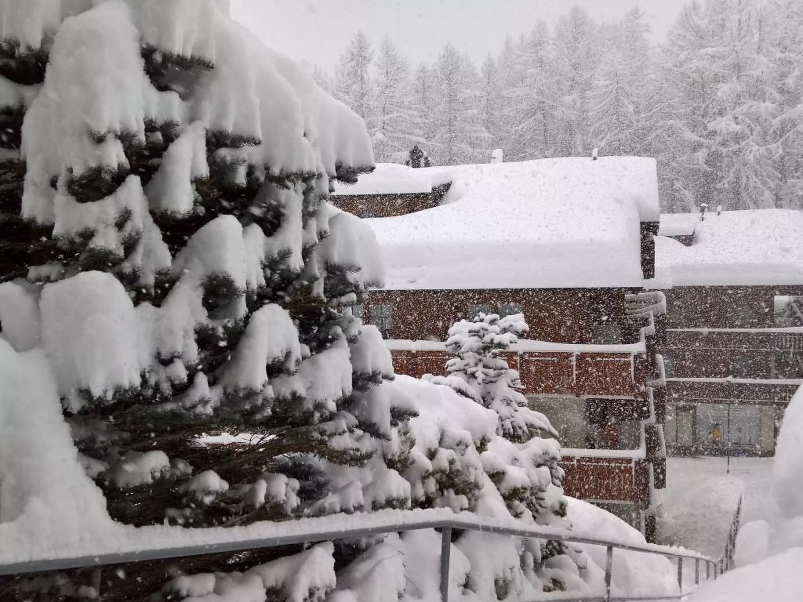 Swiss Chalet-Outside