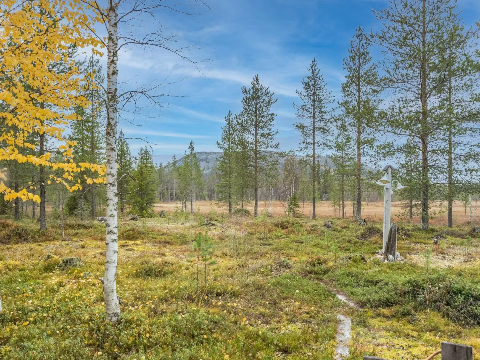 Puukenkä