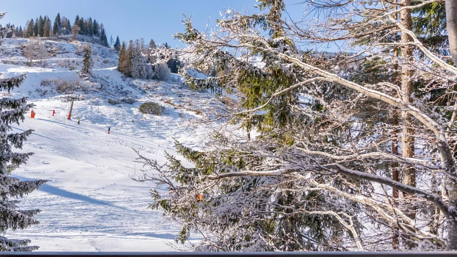 Zirbenlodge Sonnenalpe Nassfeld-View winter