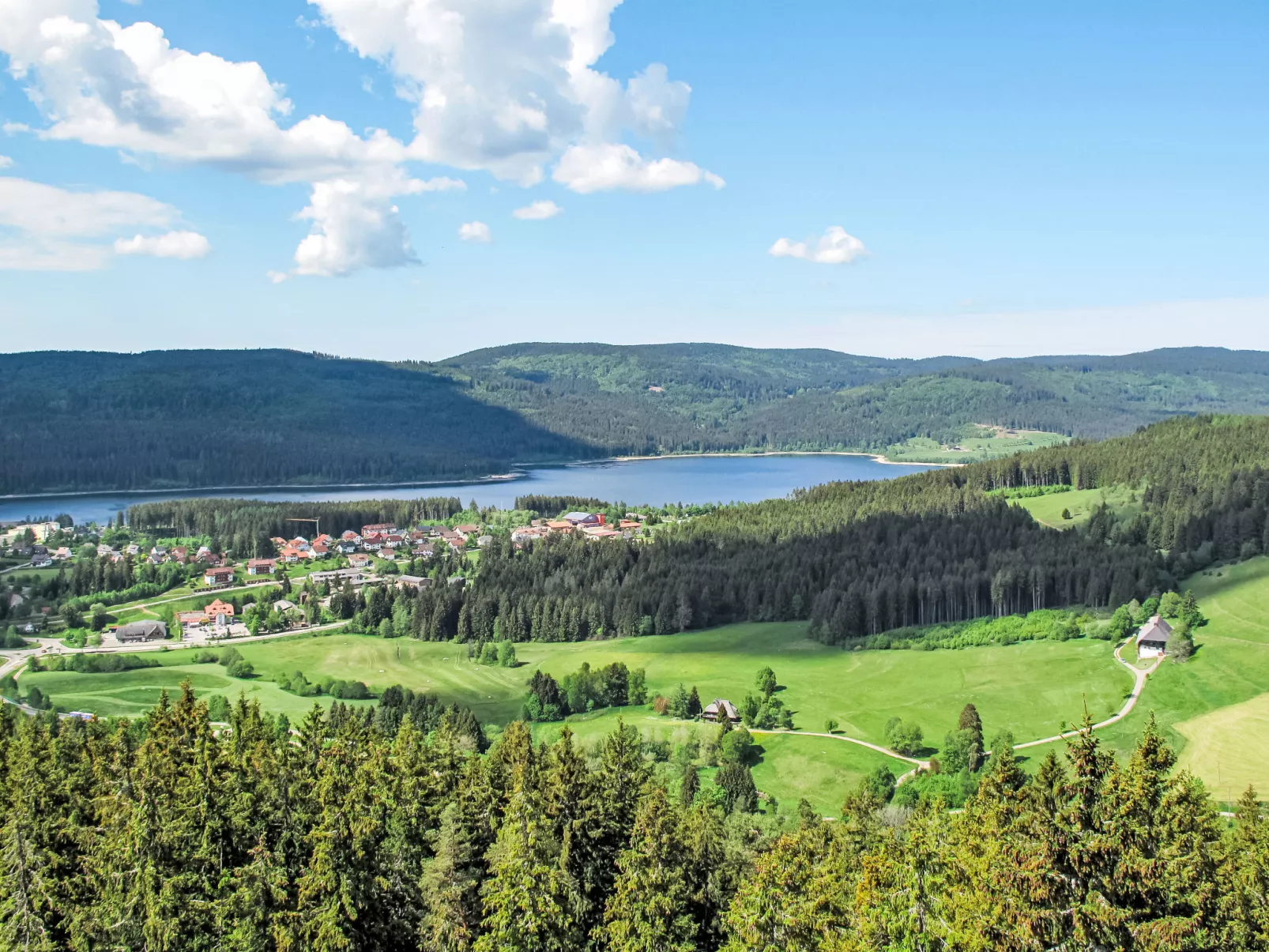 Wartbuck-Area