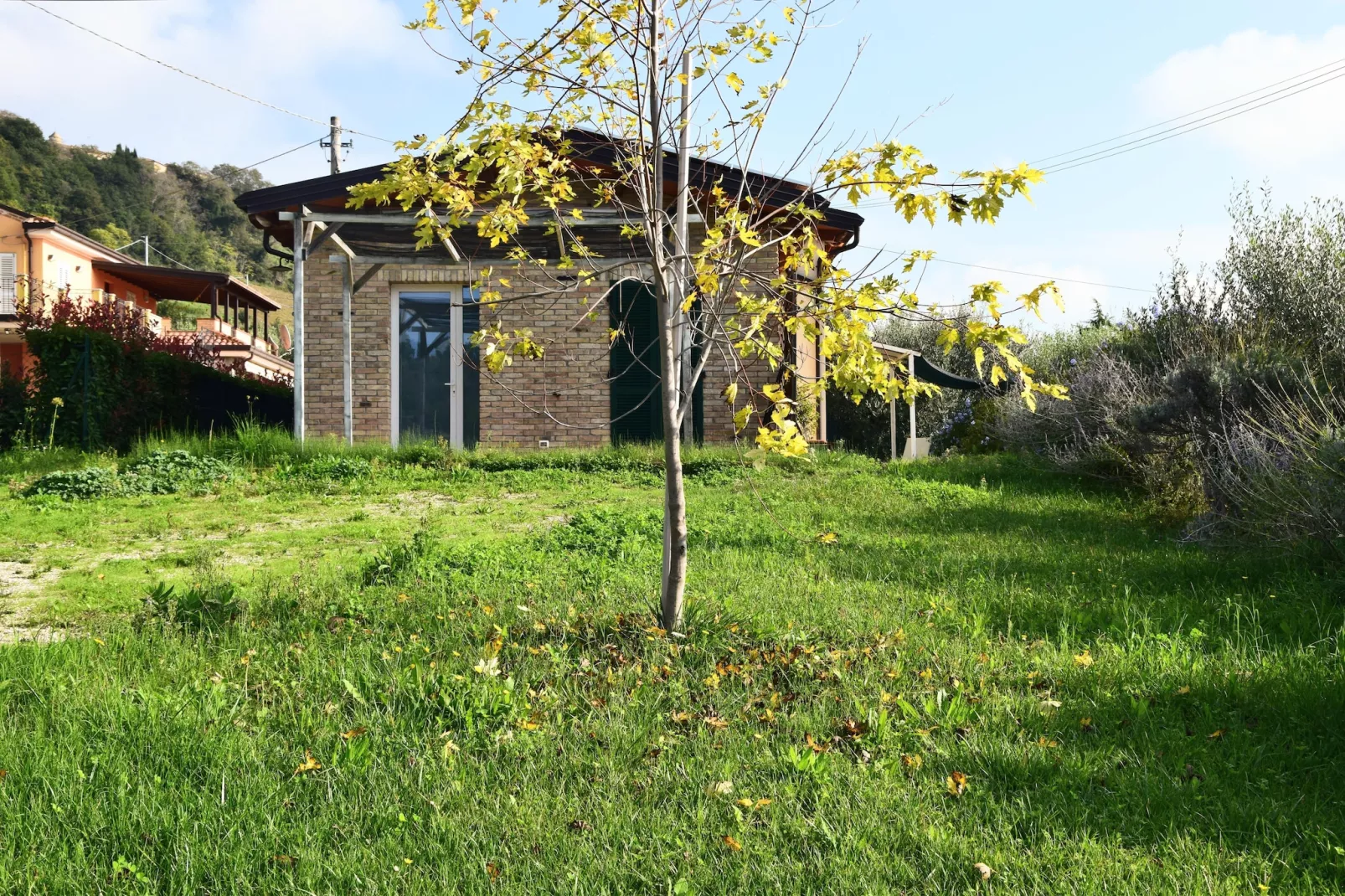 Monolocale-Exterior summer