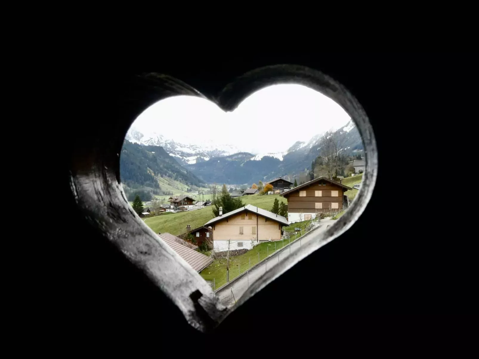 Chalet Waldchutz - Wohnung Anax-Draußen