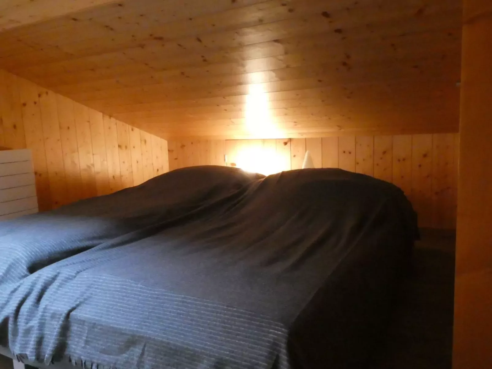 Chalet Waldchutz - Wohnung Anax-Drinnen