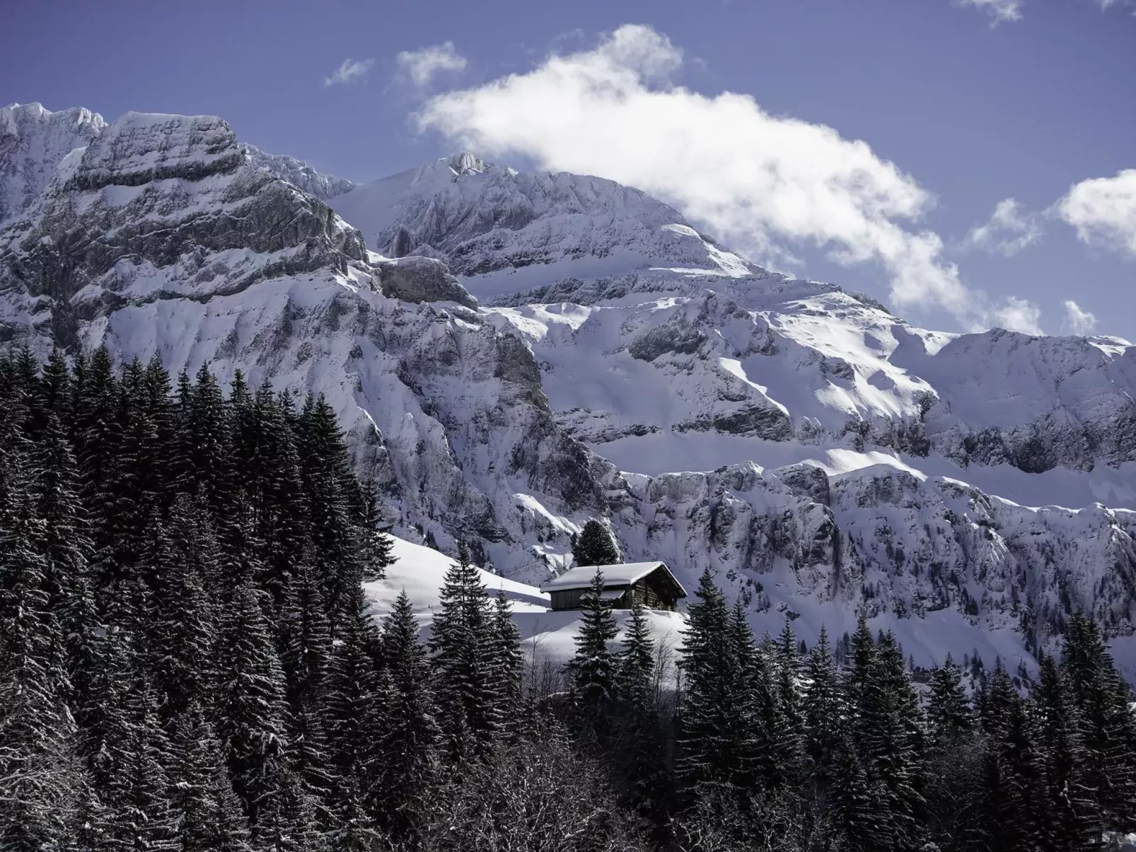 Chalet Weitblick-Draußen
