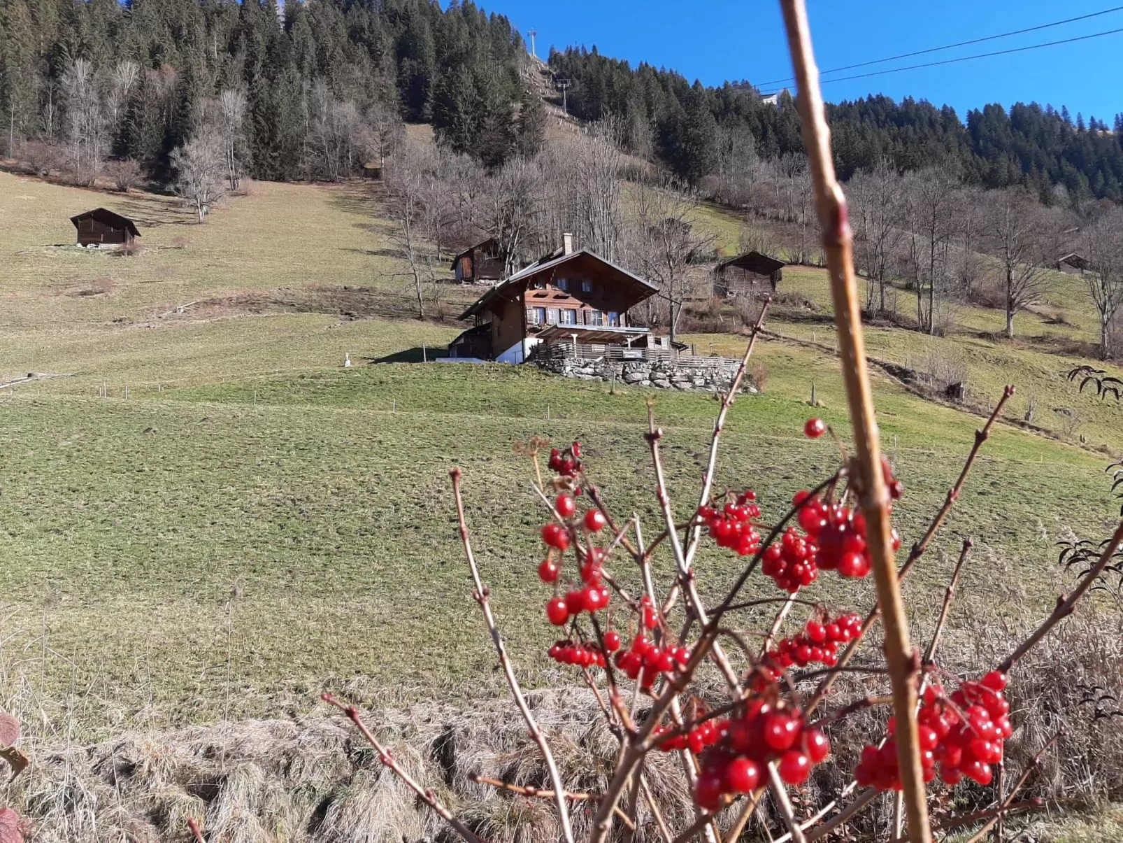 Kari's Schüür-Draußen