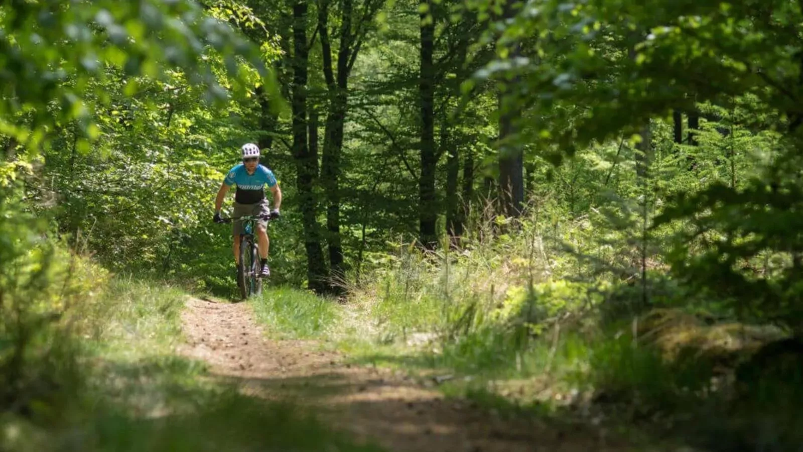 Oak Valley 17-Areas summer 1km