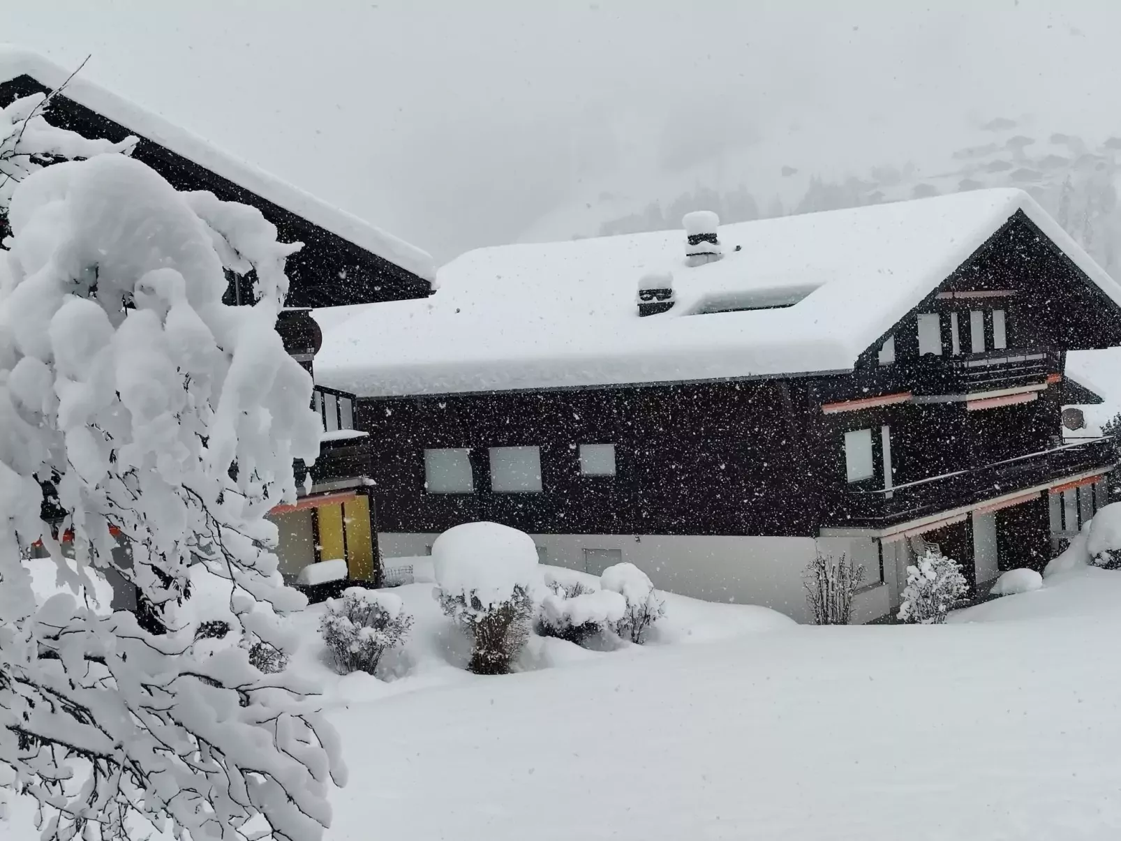 Lenk Unique-Dehors