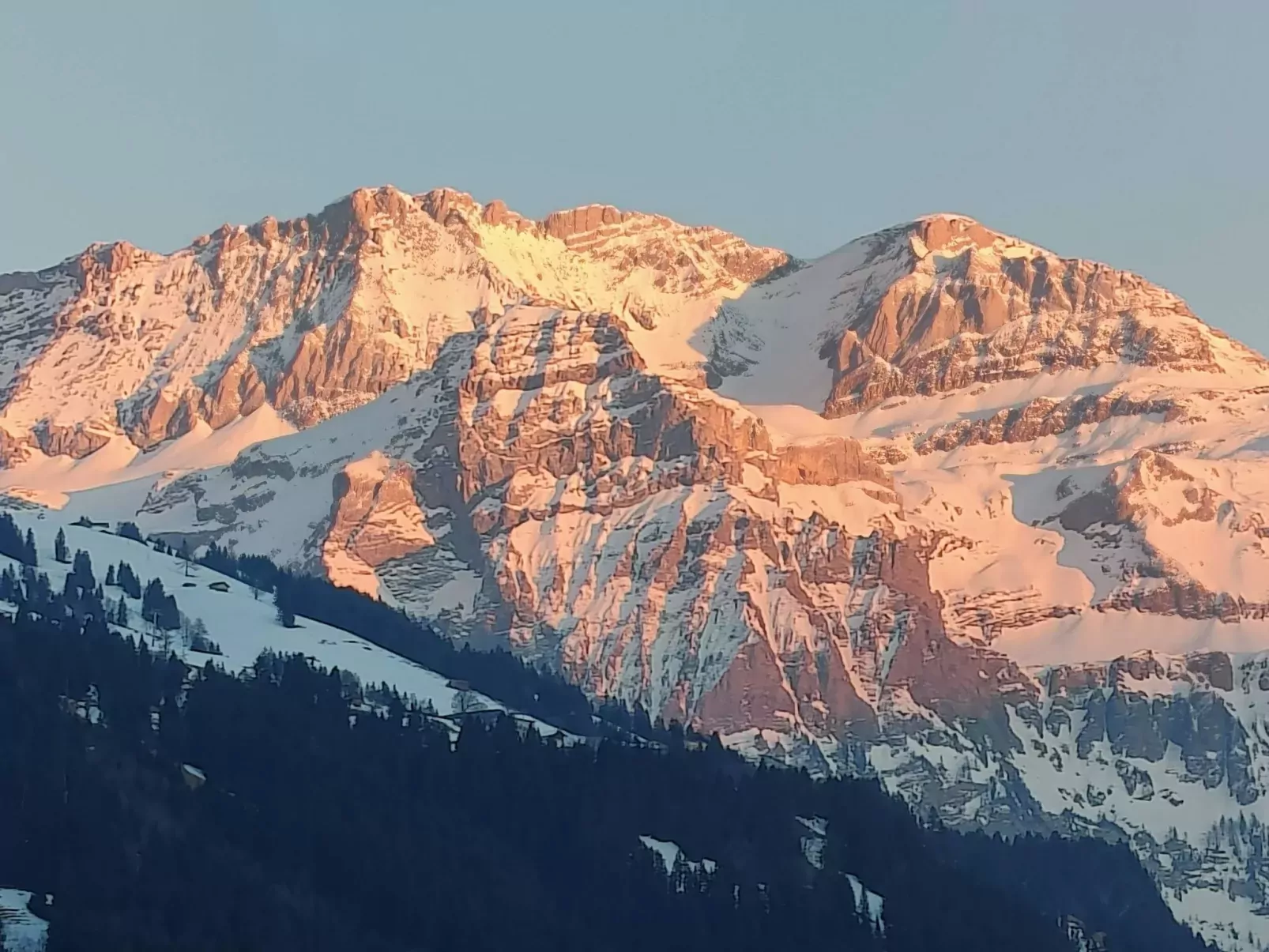 Lenk Unique-Dehors