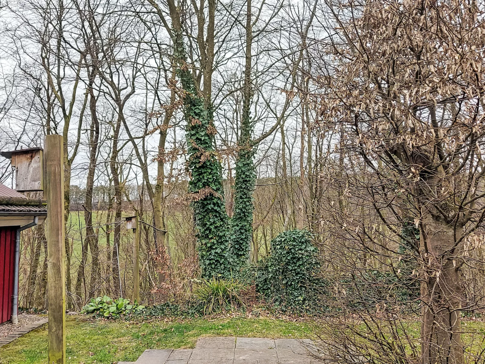 Haus am Wald-Outside