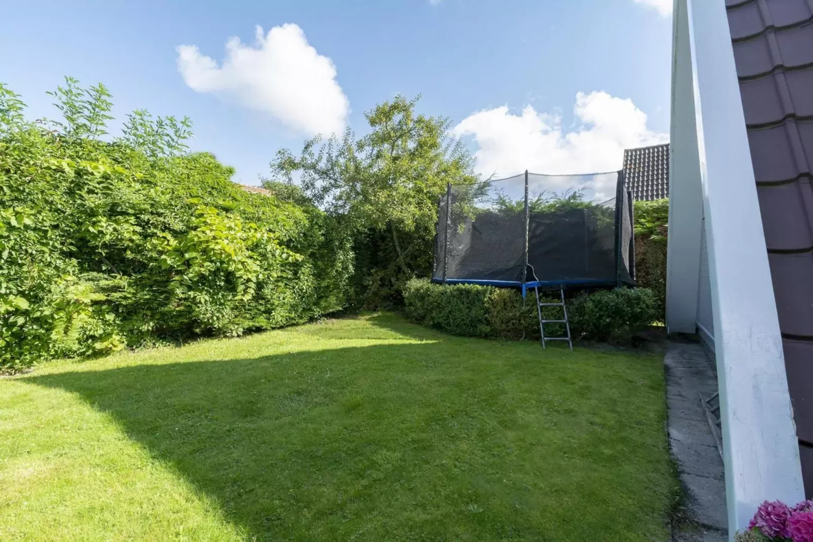 Duinland 46-Gardens summer