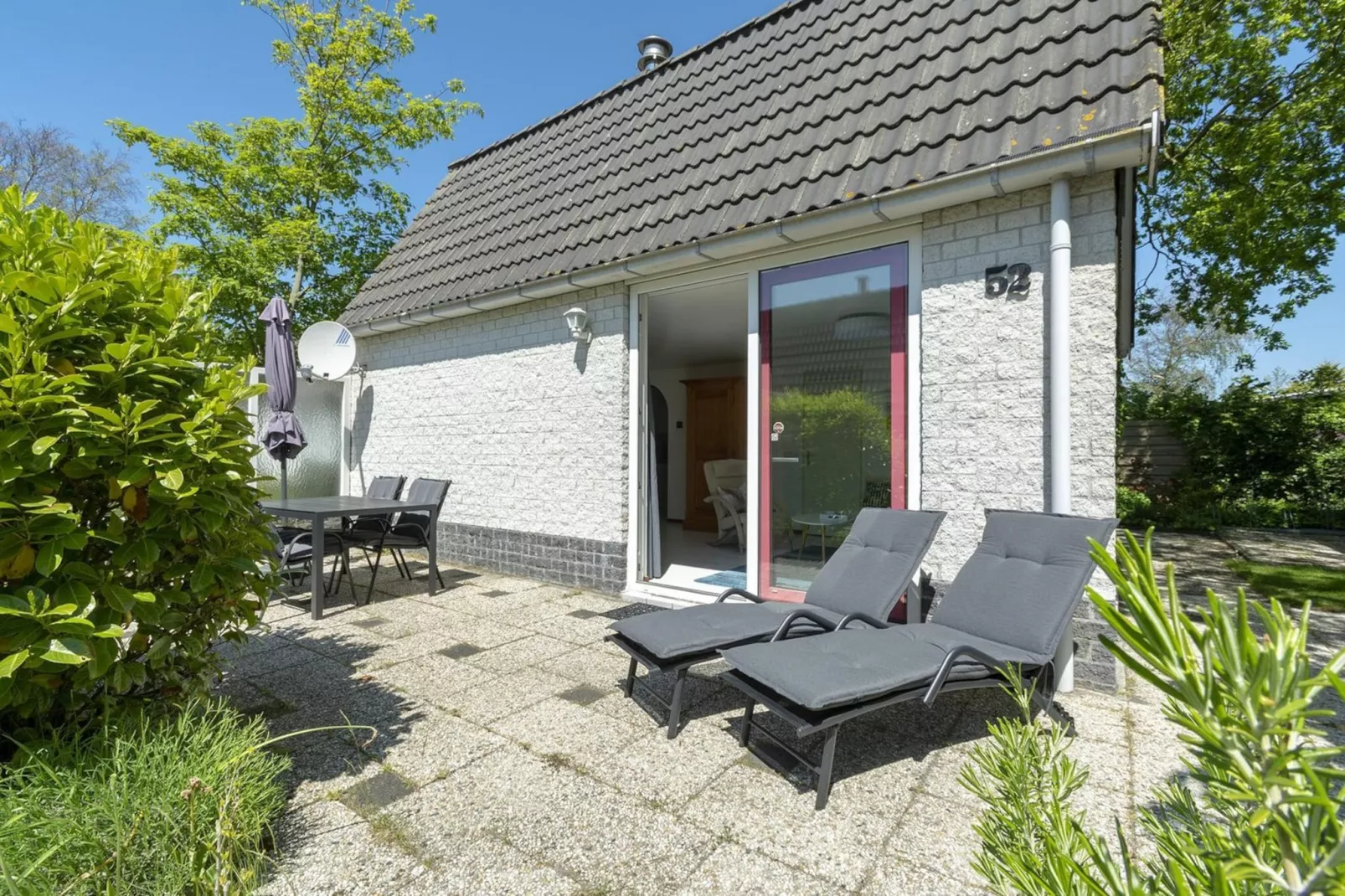 Campanula 52-Exterior summer