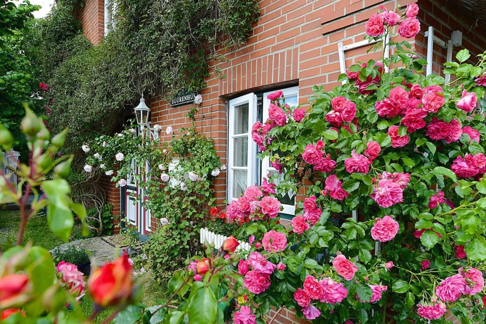 Ferienwohnung Oevenum Wohnung 1-Exterior summer