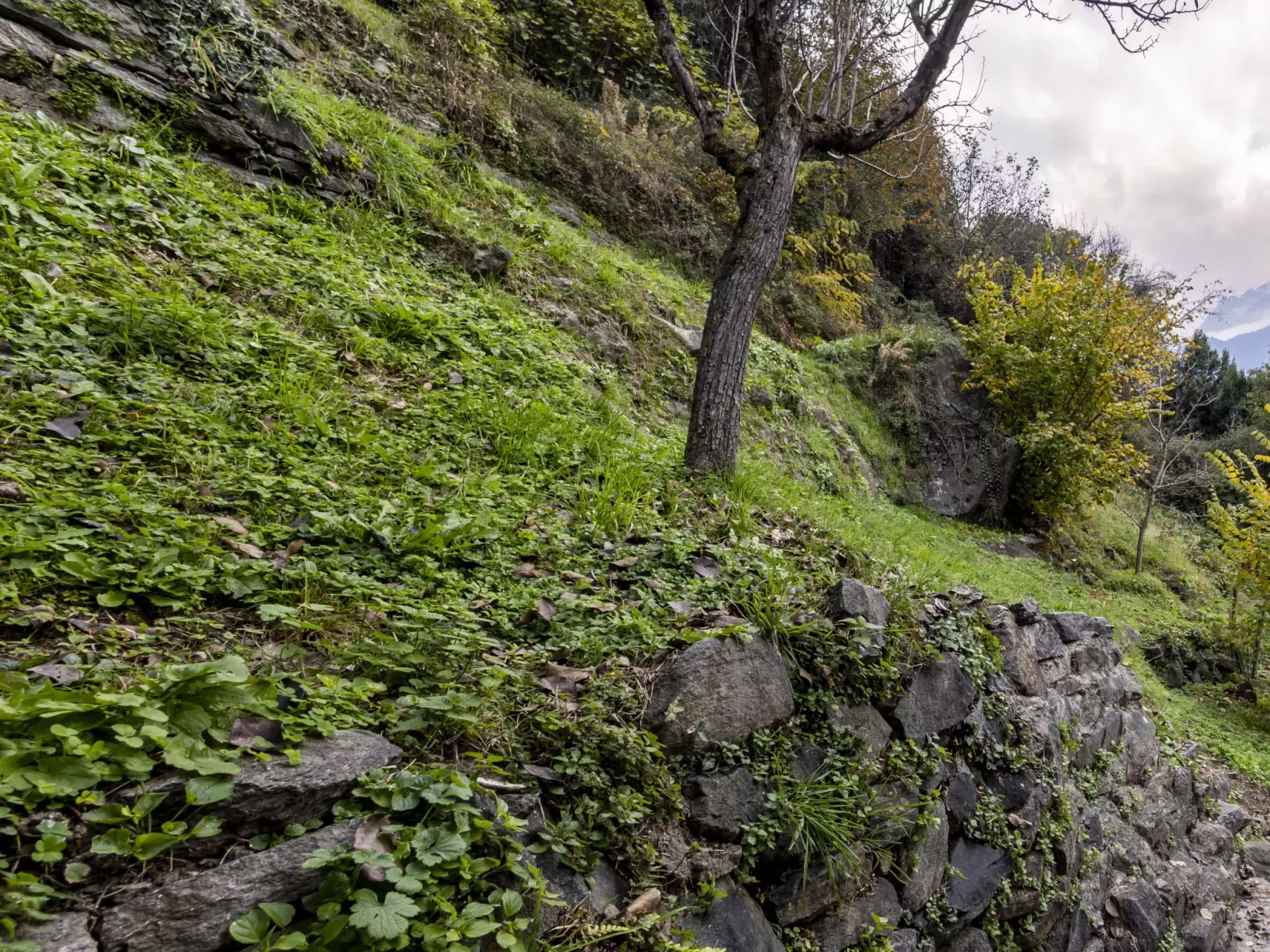 Borgonuovo Waterfall's House-Outside
