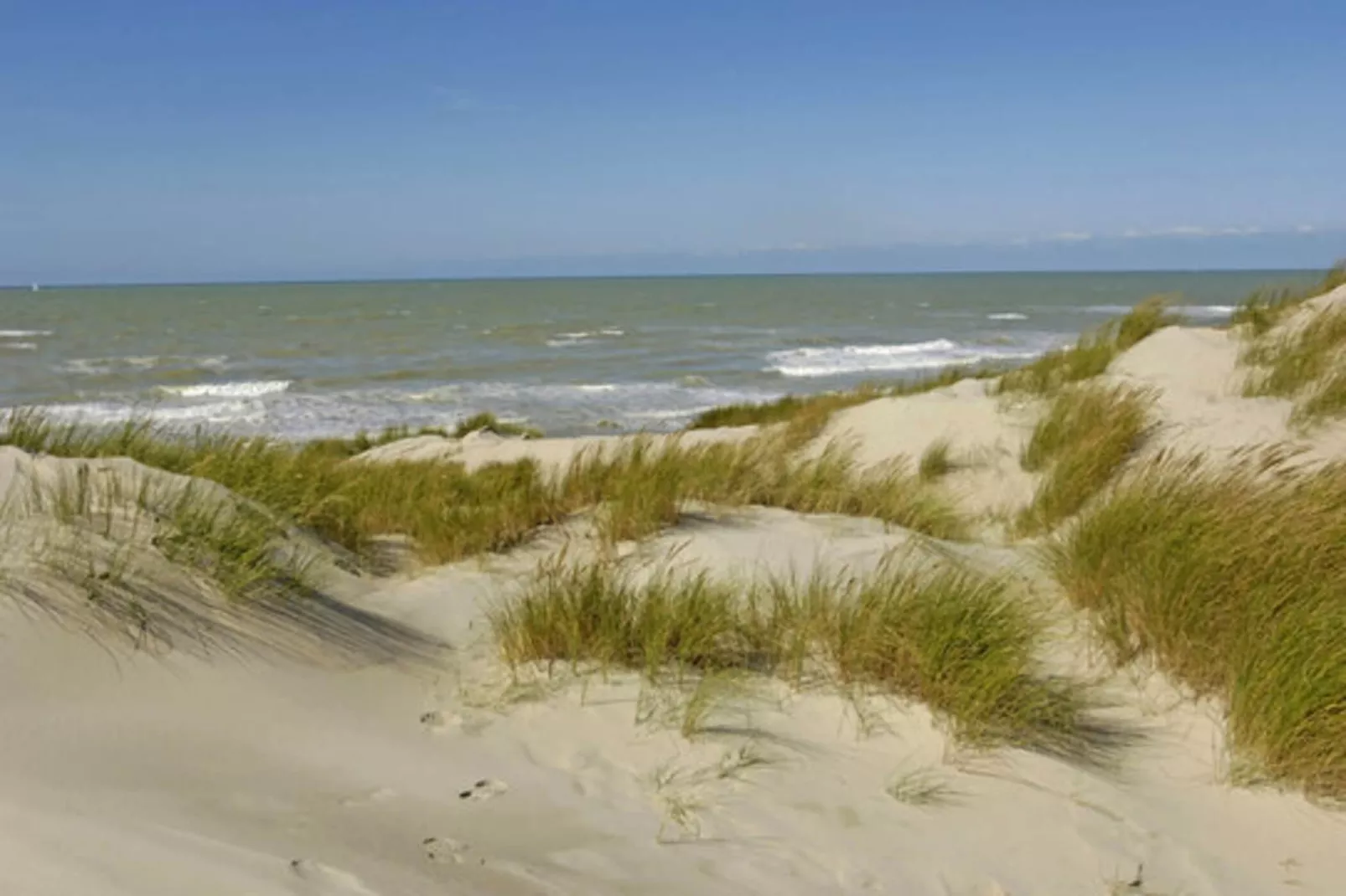 Studio in Wyk auf Föhr - Wohnung 8-Areas summer 5km