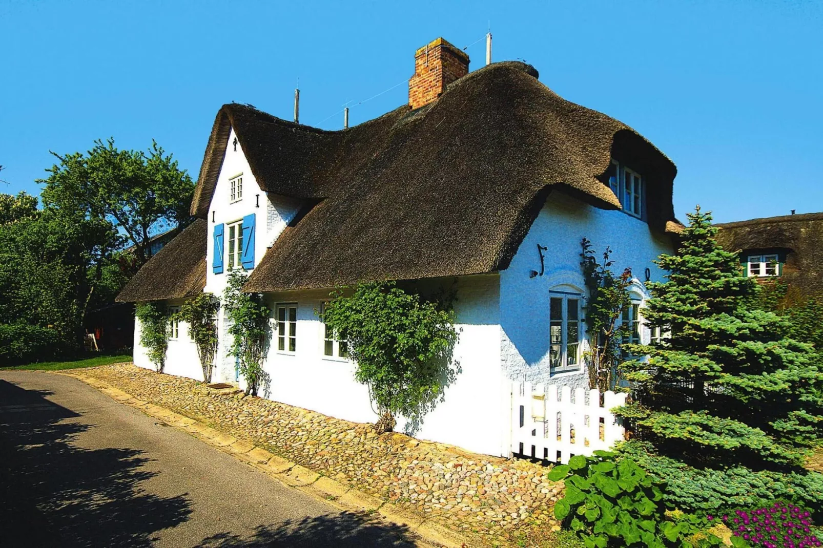 Doppelhaus in Oldsum - Haus 2-Exterior summer