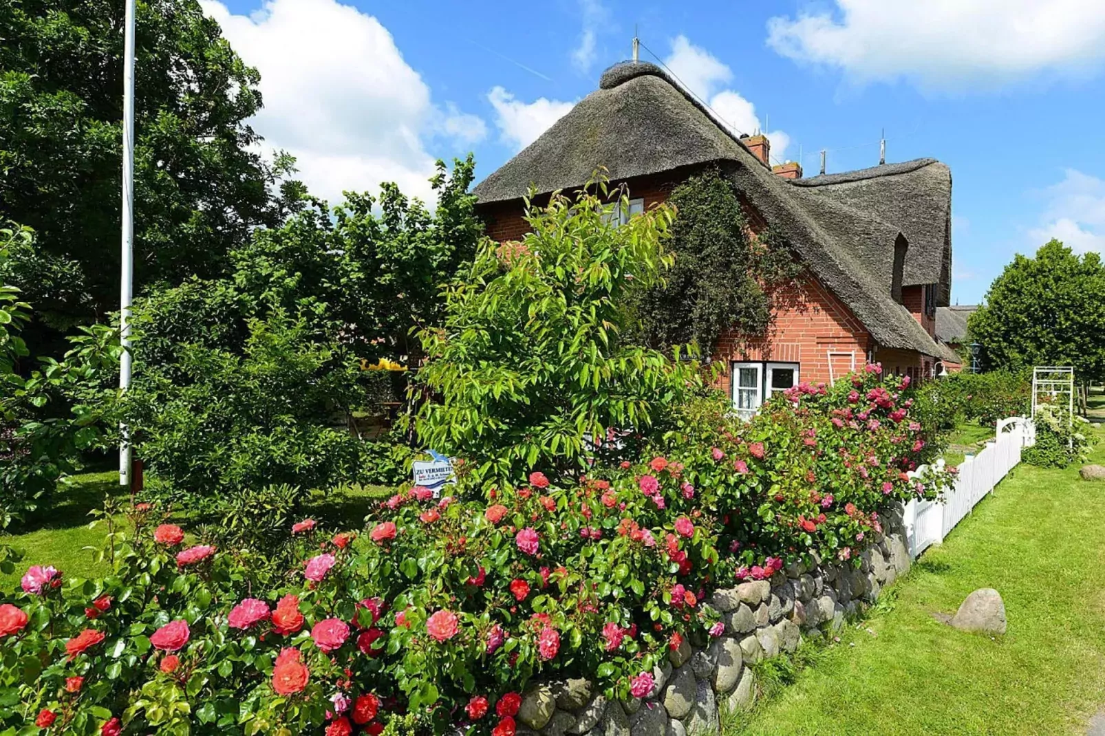 Ferienwohnung in  Oevenum auf Föhr - Wohnung 3-Aussicht Sommer