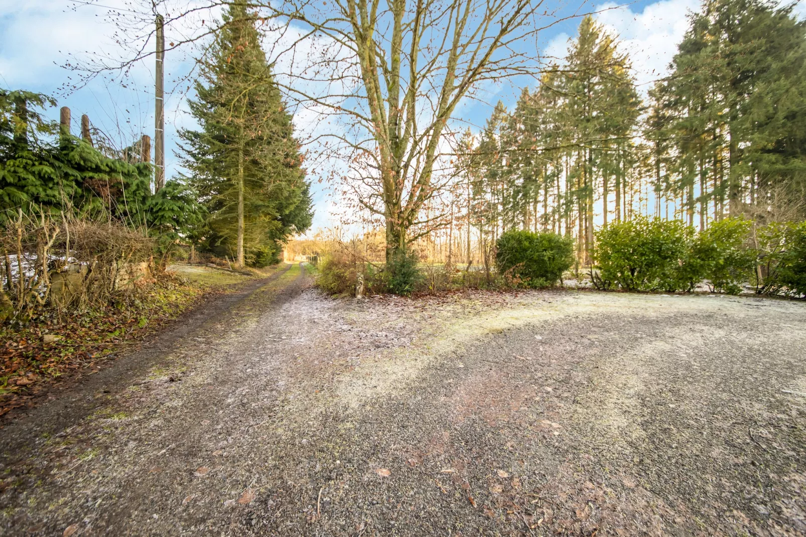 Bois d'Awenne - 10598117