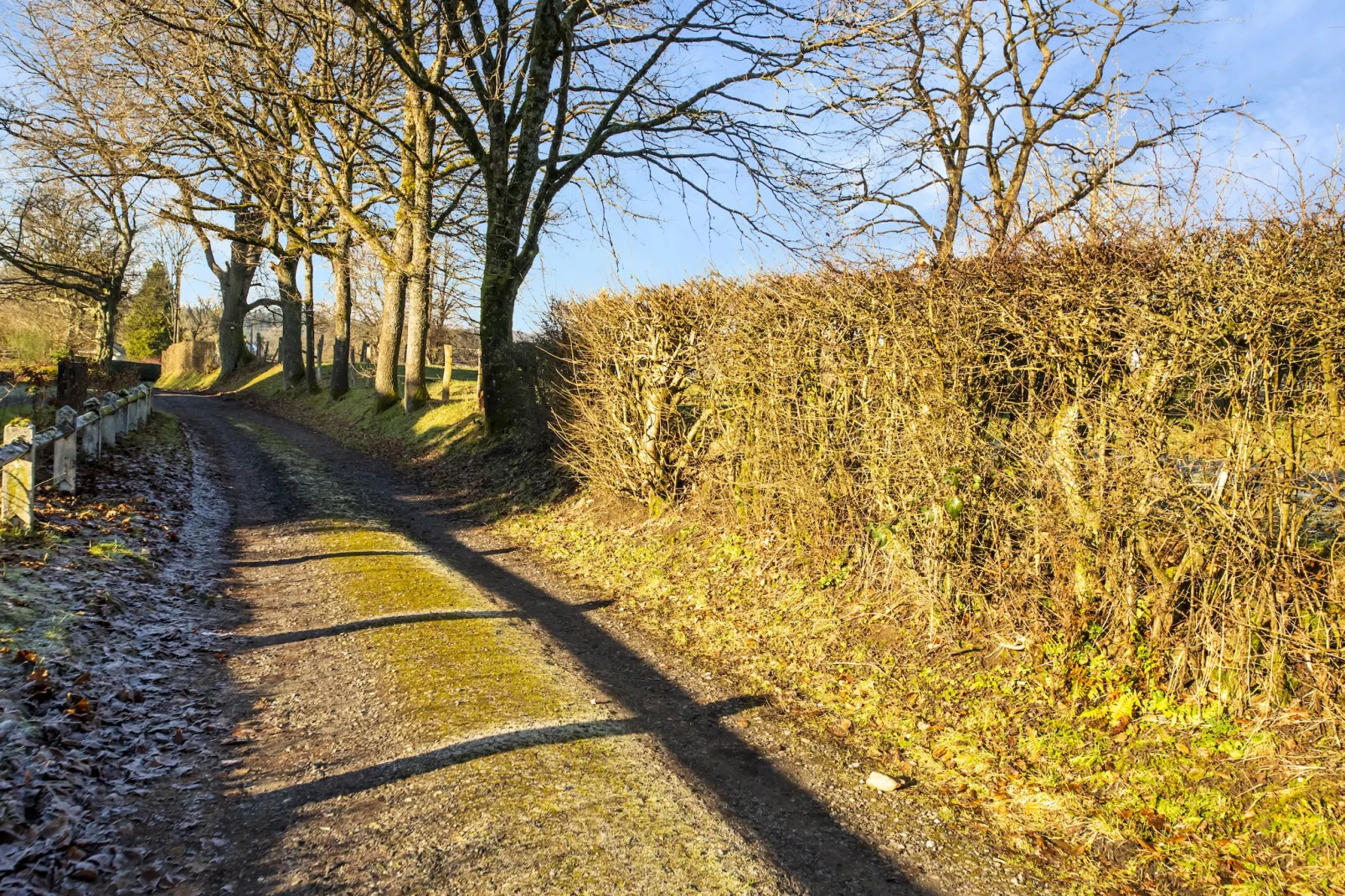 Bois d'Awenne-Gebiete Sommer 5 km